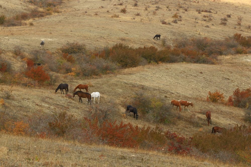 Фотография автора Сергей Кульков