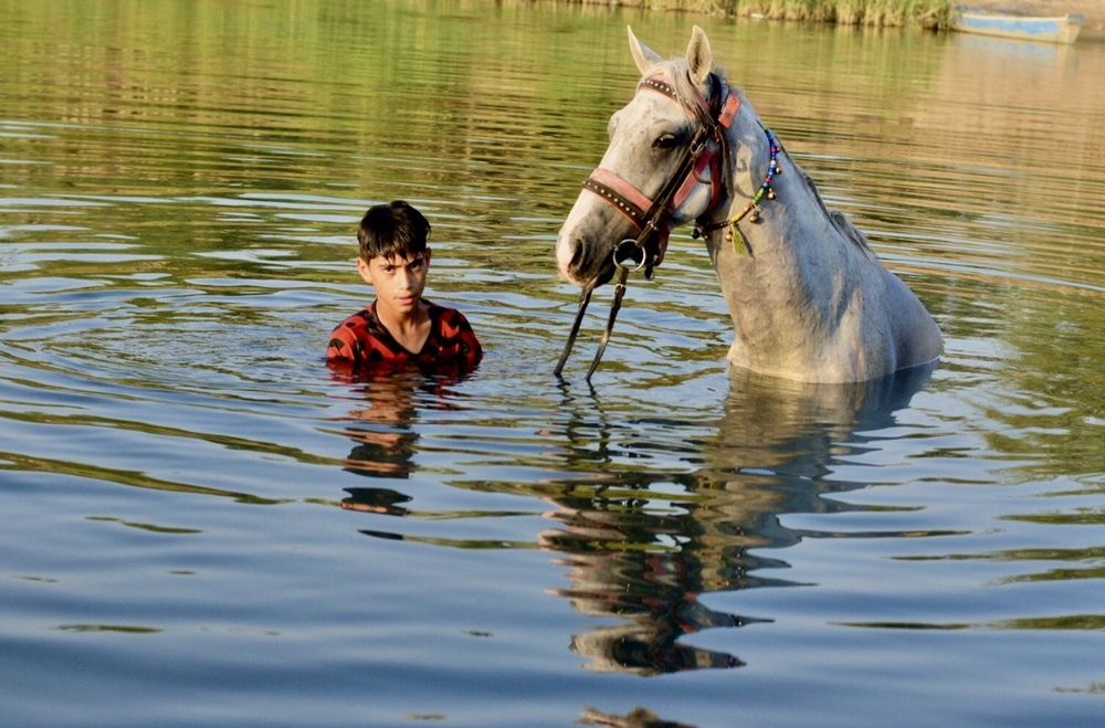 Photograph by وسام السلامي