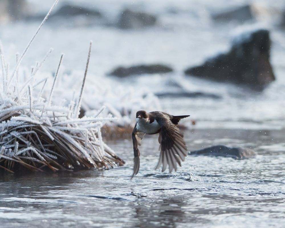 Photograph by Jørgen Hovde