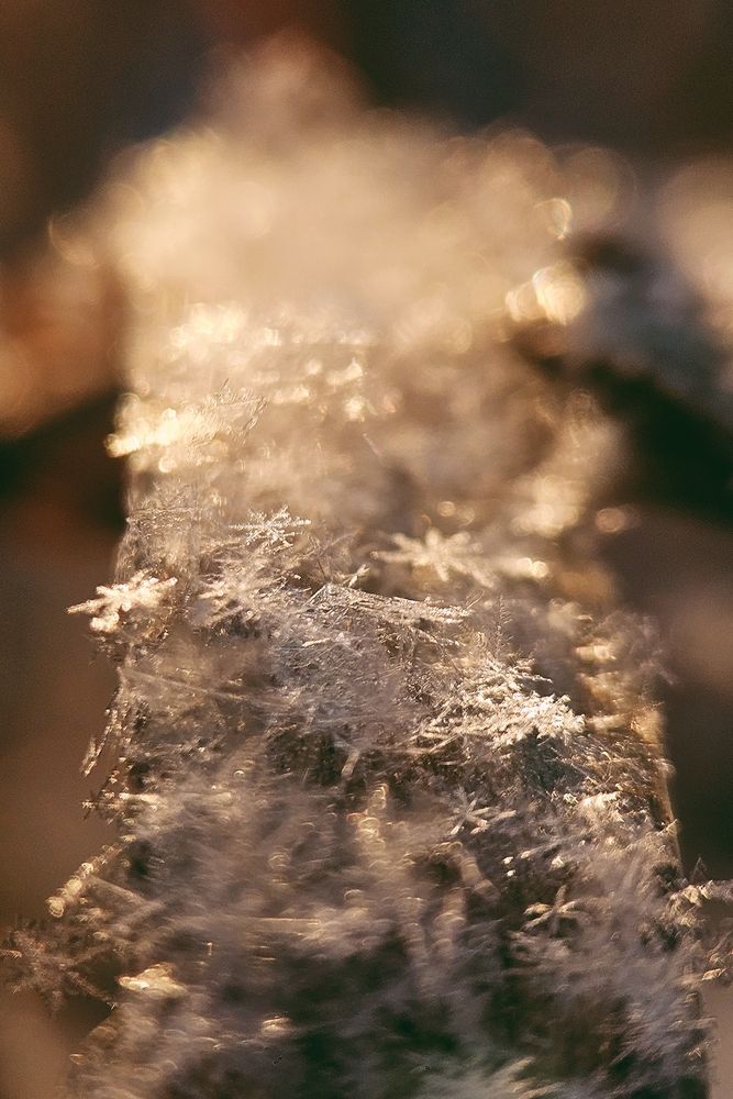 Photograph by Наталья Тополевская