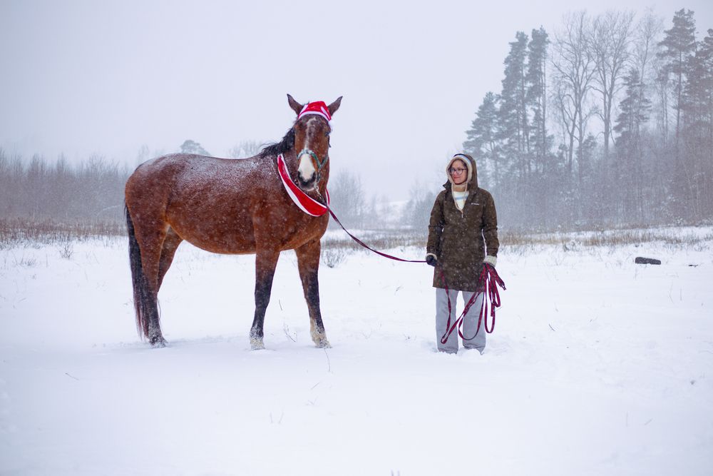 Фотография автора Dace Laukmane