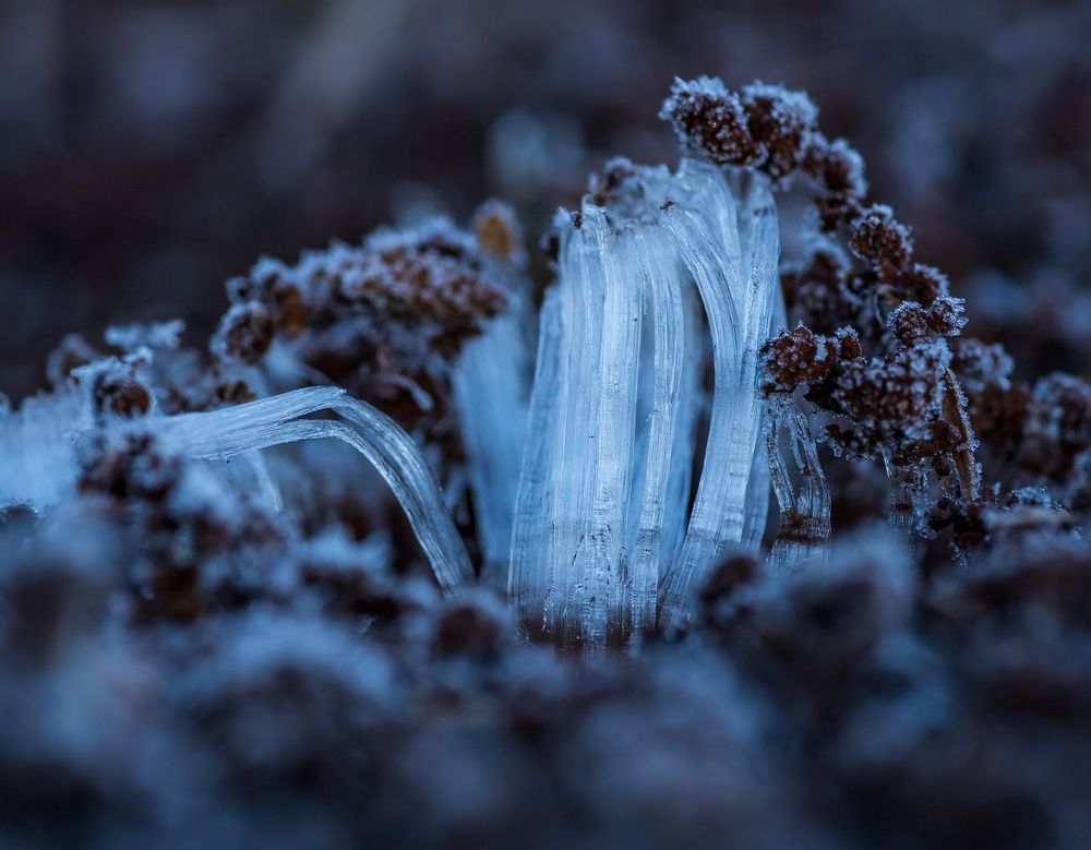 Photograph by Valdir Hobus