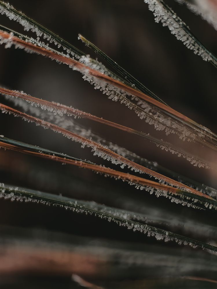 Photograph by Татьяна Котова