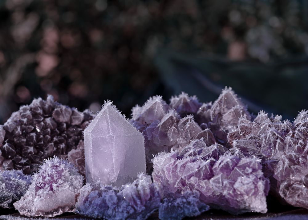 Photograph by LYUDMYLA POKRYSHEN