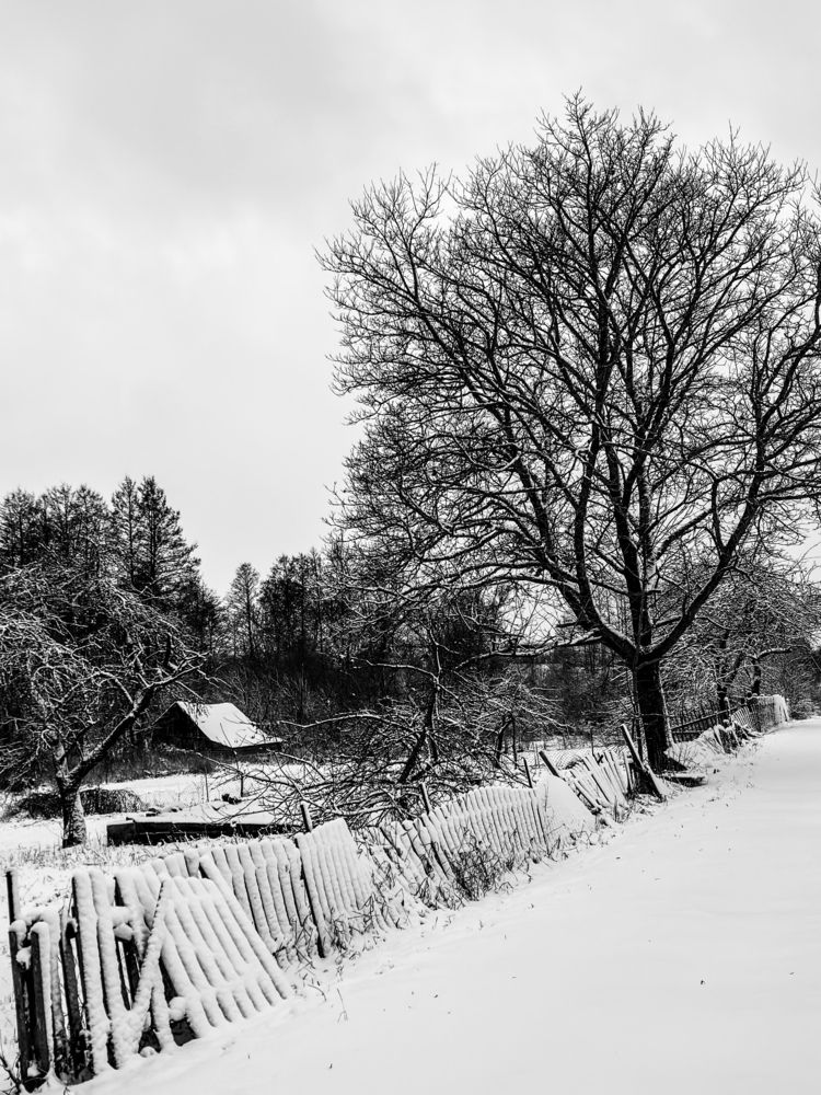 Winter’s Solitude