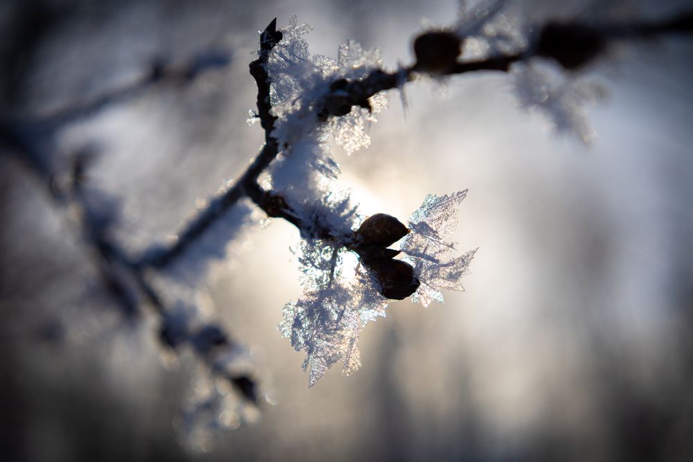 Photograph by ANDREY KISELYOV