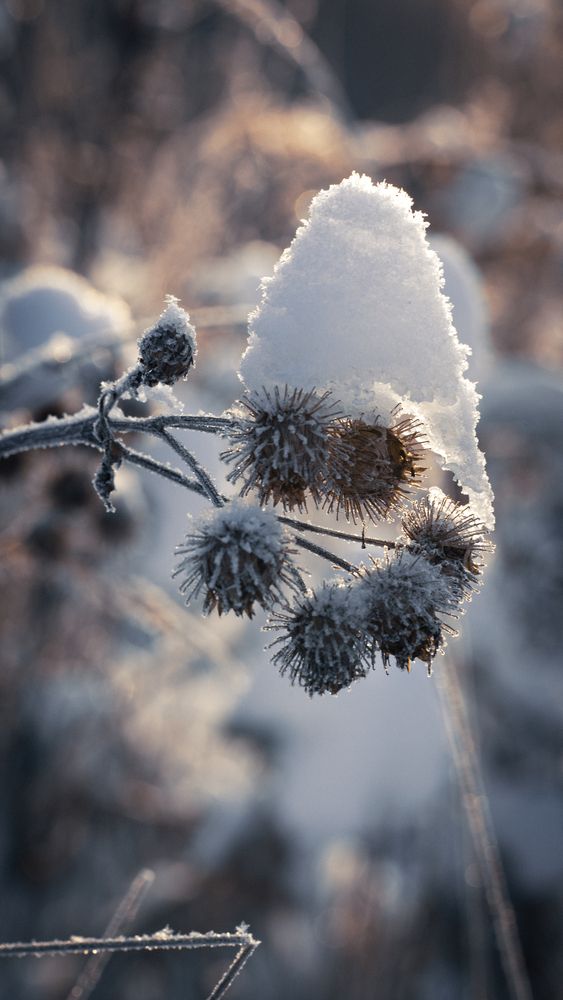 Фотография автора Войнов Дмитрий