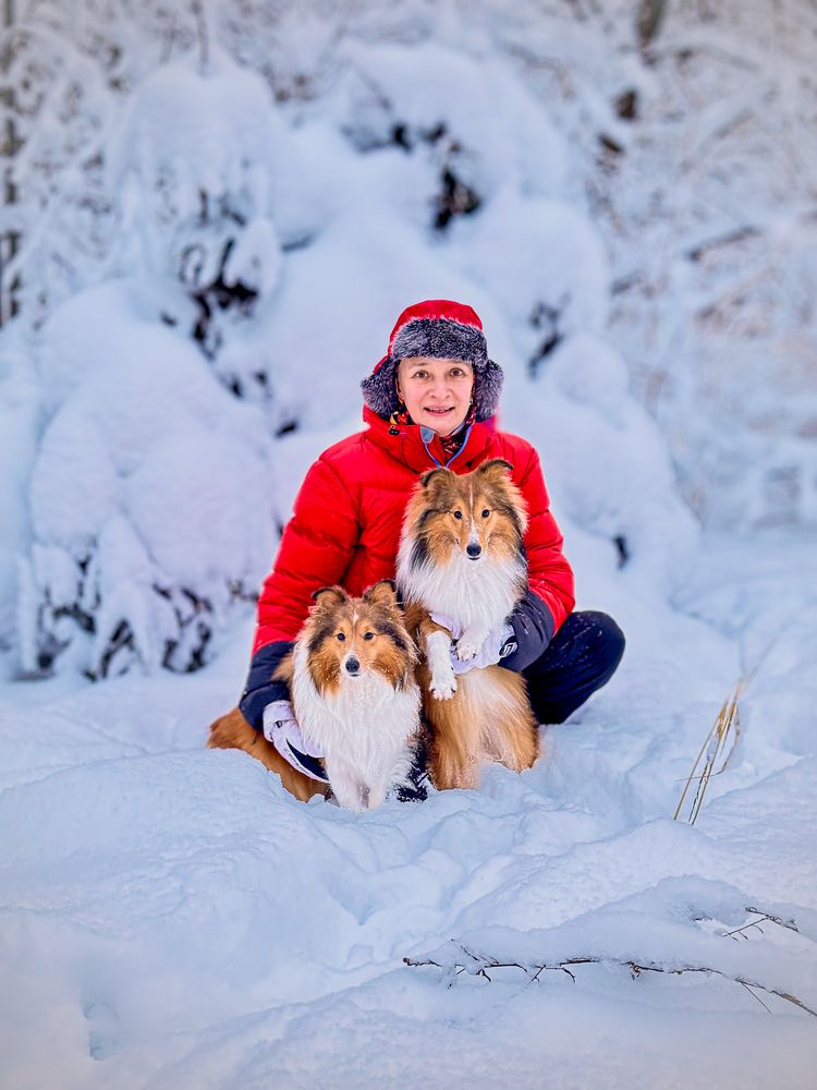 Снег и шелти