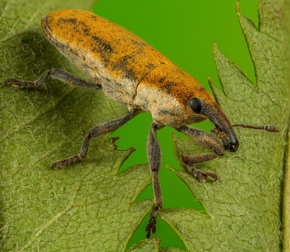 Photograph by Андрей Кривов