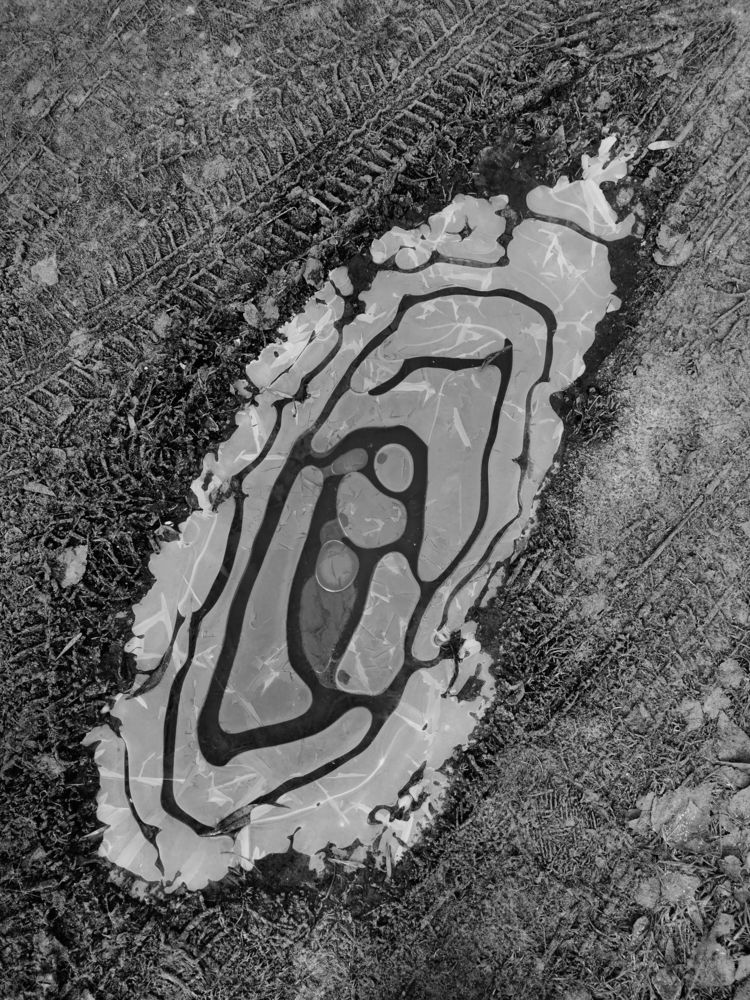 Photograph by Сергей Домбровский