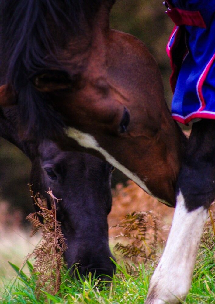 Photograph by Sarah guthrie