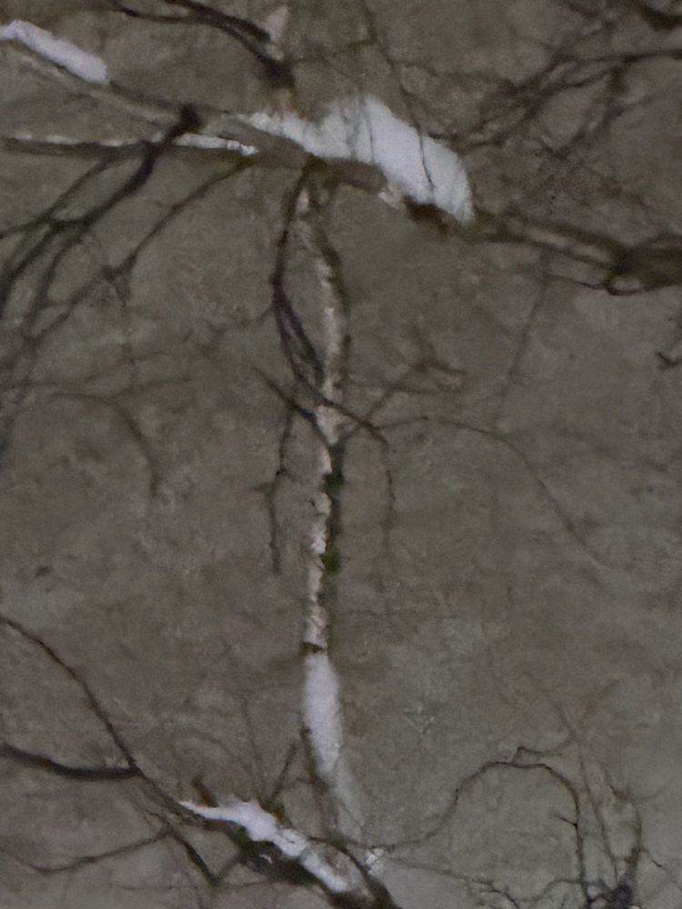 Photograph by Елена Мусина