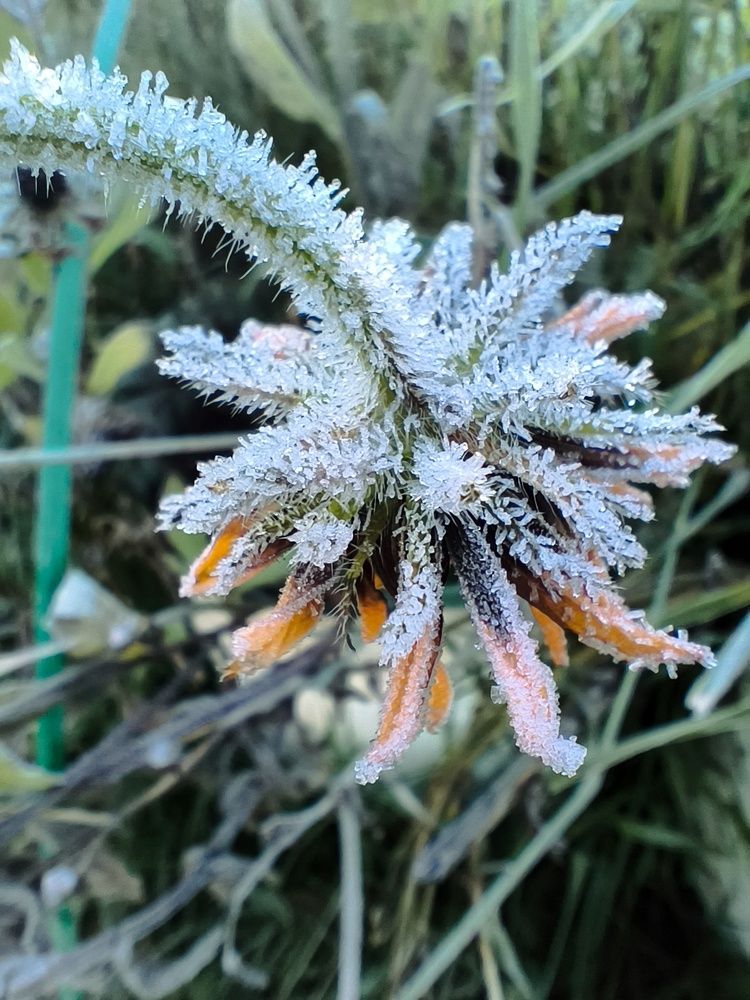 Photograph by Лена