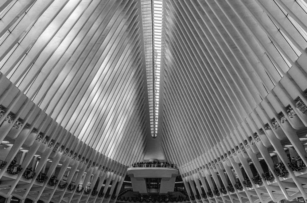 Photograph by Athul Konikkara