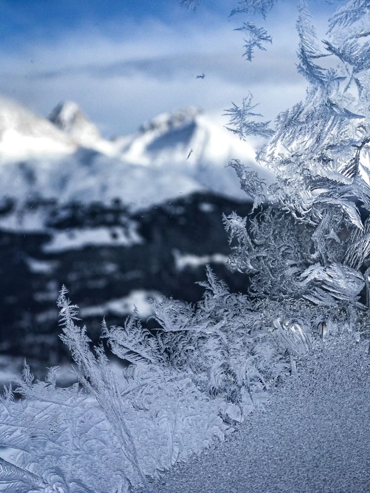 Photograph by Julia Smilovitsky