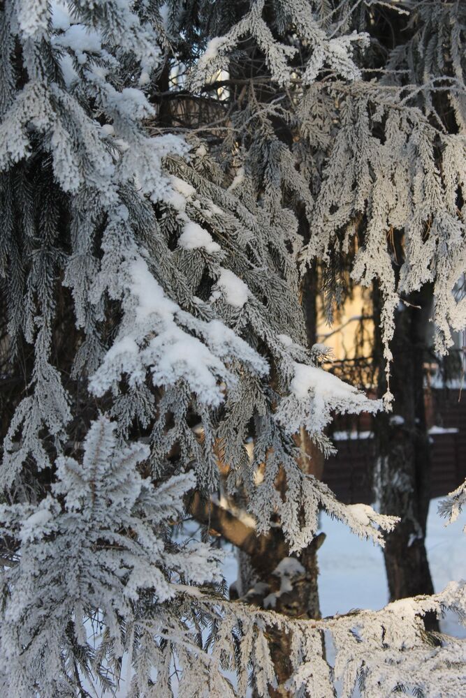 Photograph by Елена Карпова