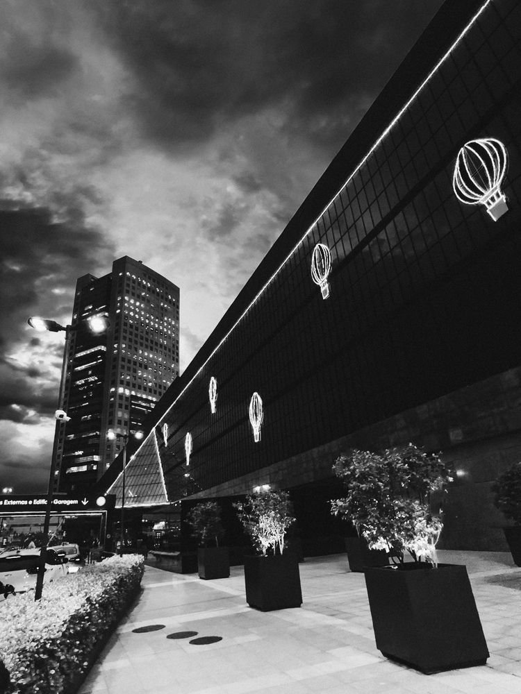 Photograph by AMANDA Moura