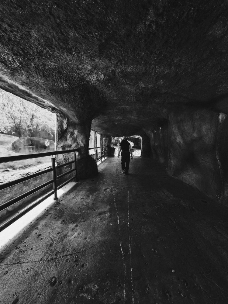 Photograph by AMANDA Moura