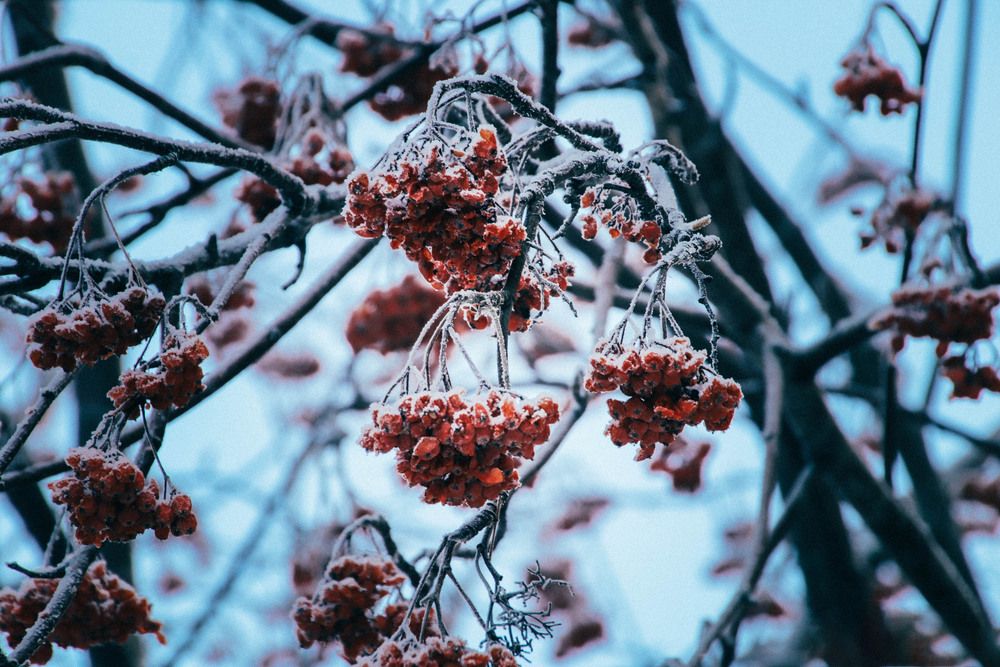 Photograph by Евгения Сенченко