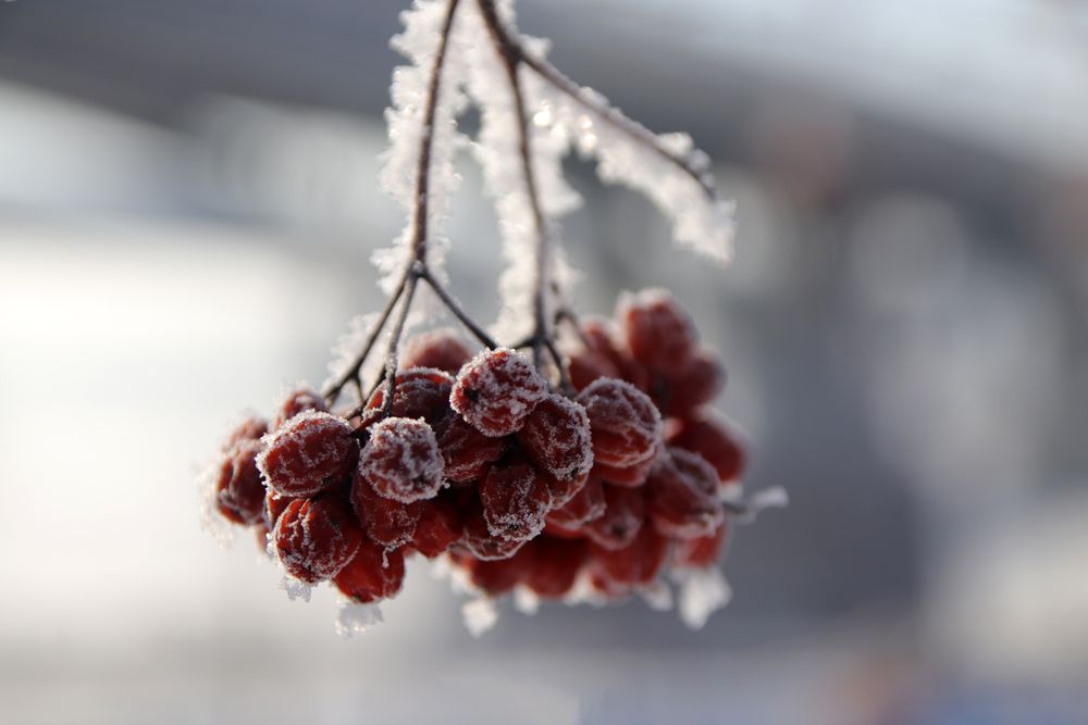 Photograph by Евгения Сенченко