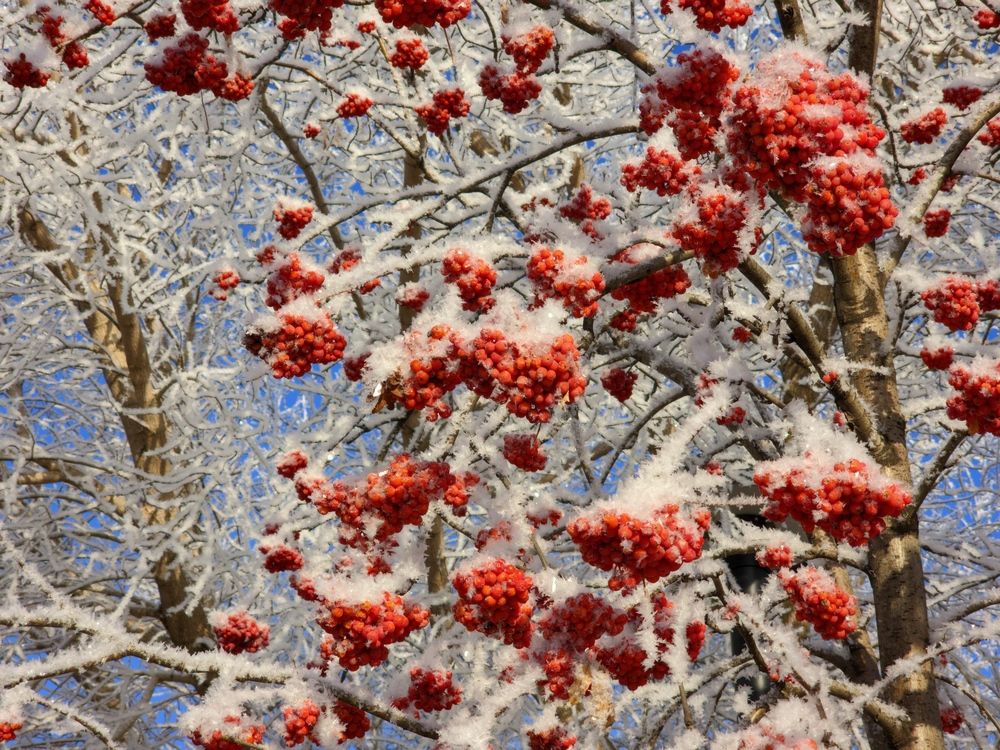 Photograph by Сергей Горбунов