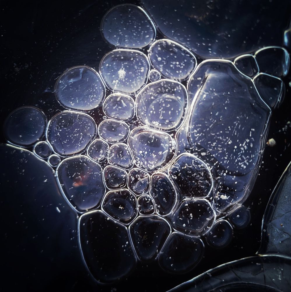 Photograph by Maiya Bulatova