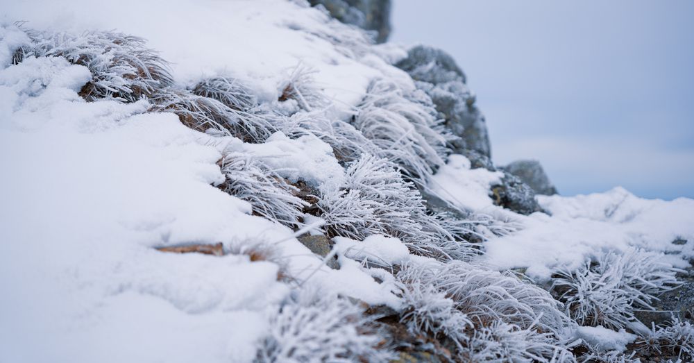 Photograph by Antoni Kacprzak