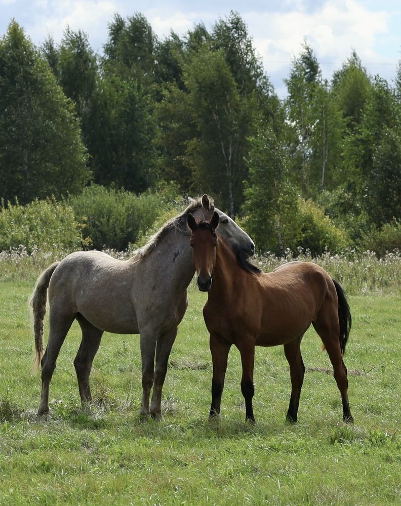 Фотография автора Kseniya Yasyuchenya