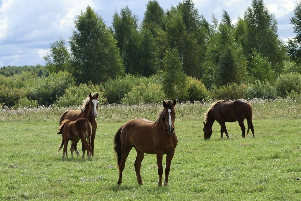 Фотография автора Kseniya Yasyuchenya