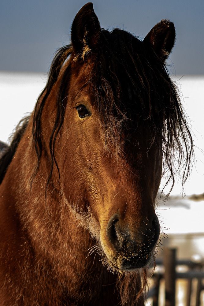 Фотография автора Kseniya Yasyuchenya