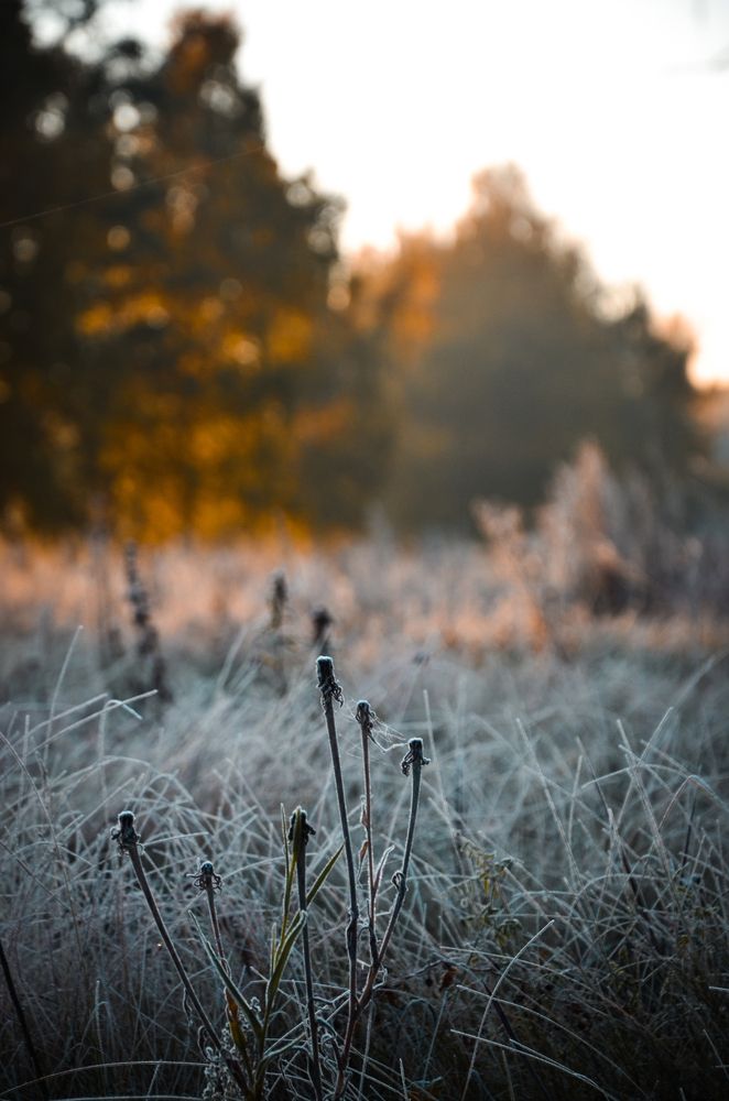 Photograph by Остапенко Юрий