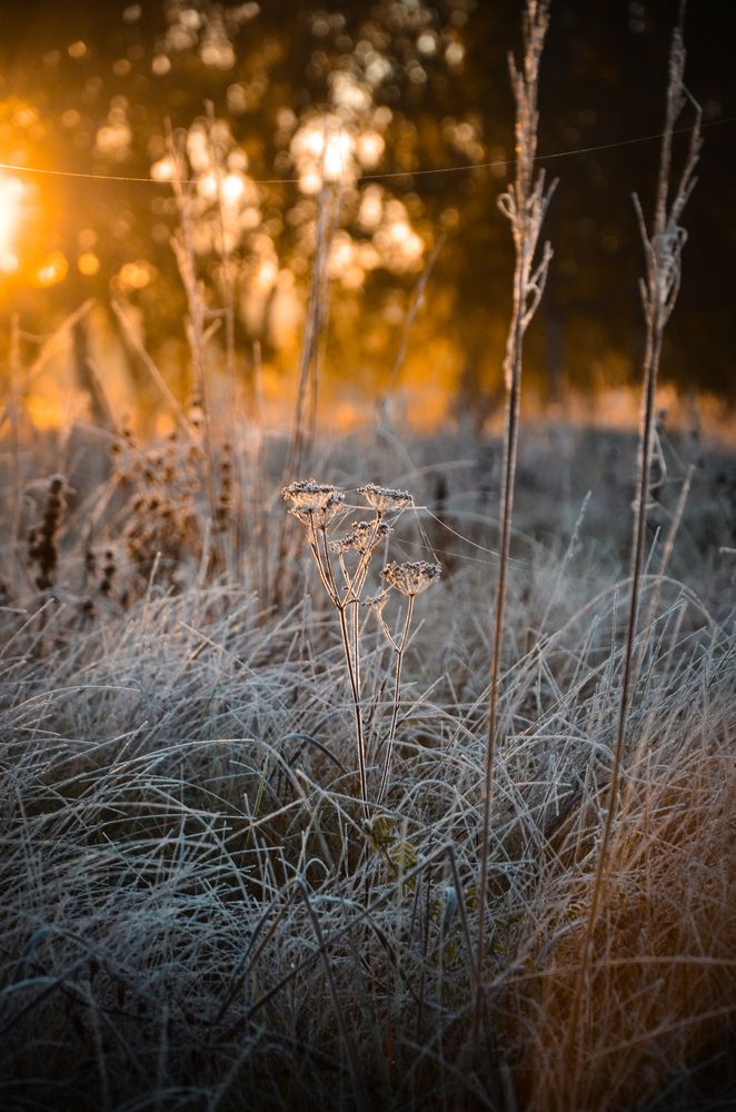 Photograph by Остапенко Юрий