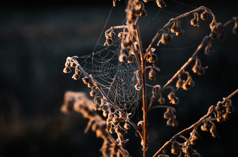 Photograph by Остапенко Юрий