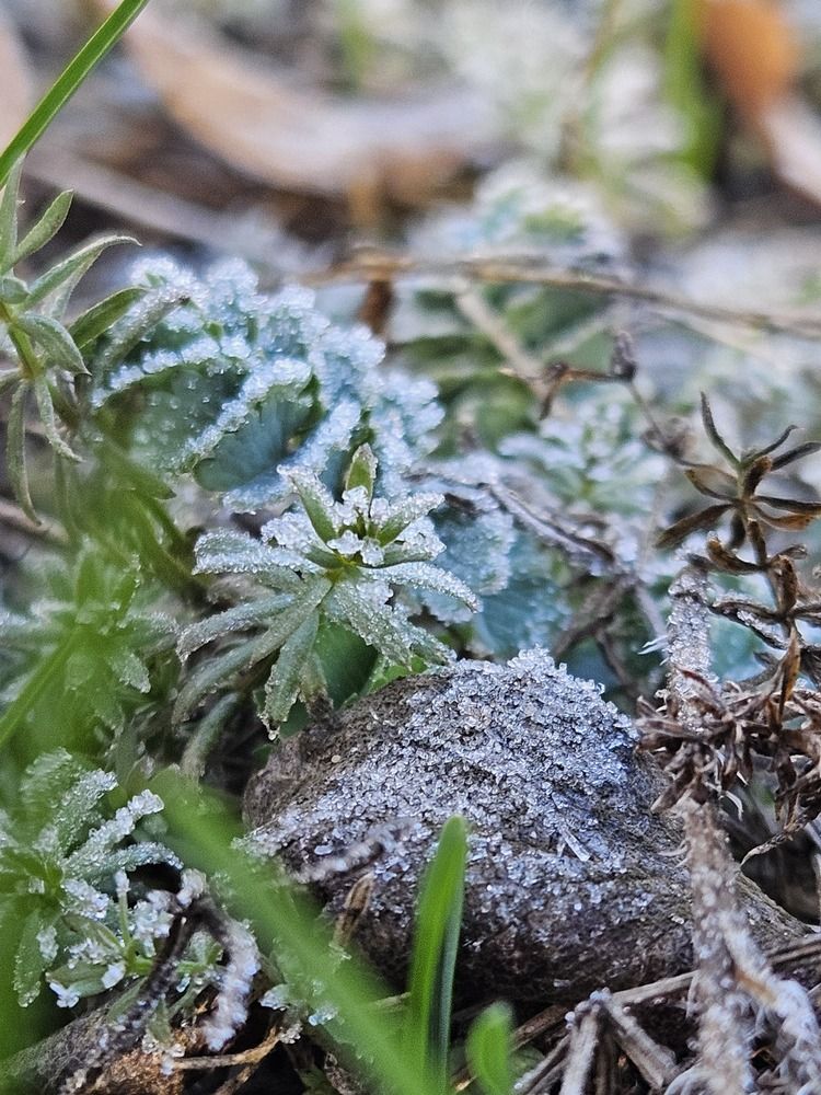 Photograph by Alena Redko