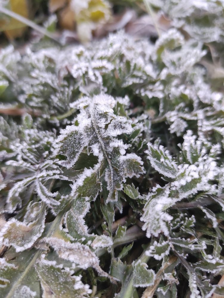 Photograph by Alena Redko