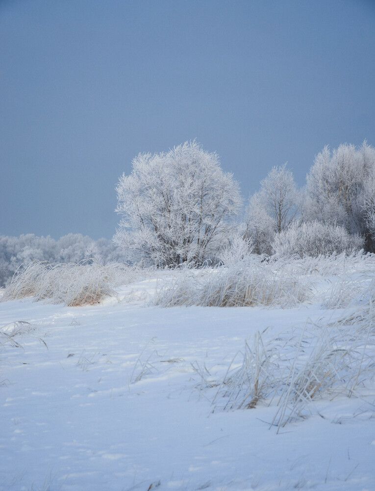 Photograph by Остапенко Юрий