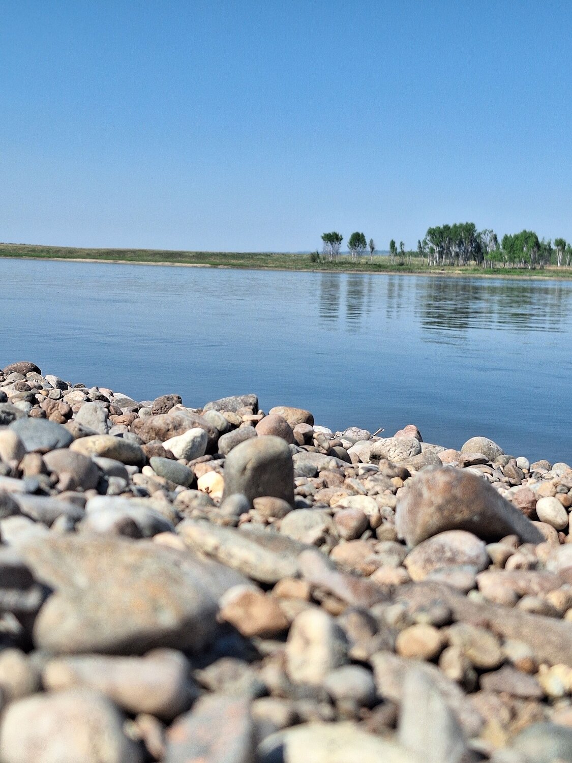 Photo #13026644