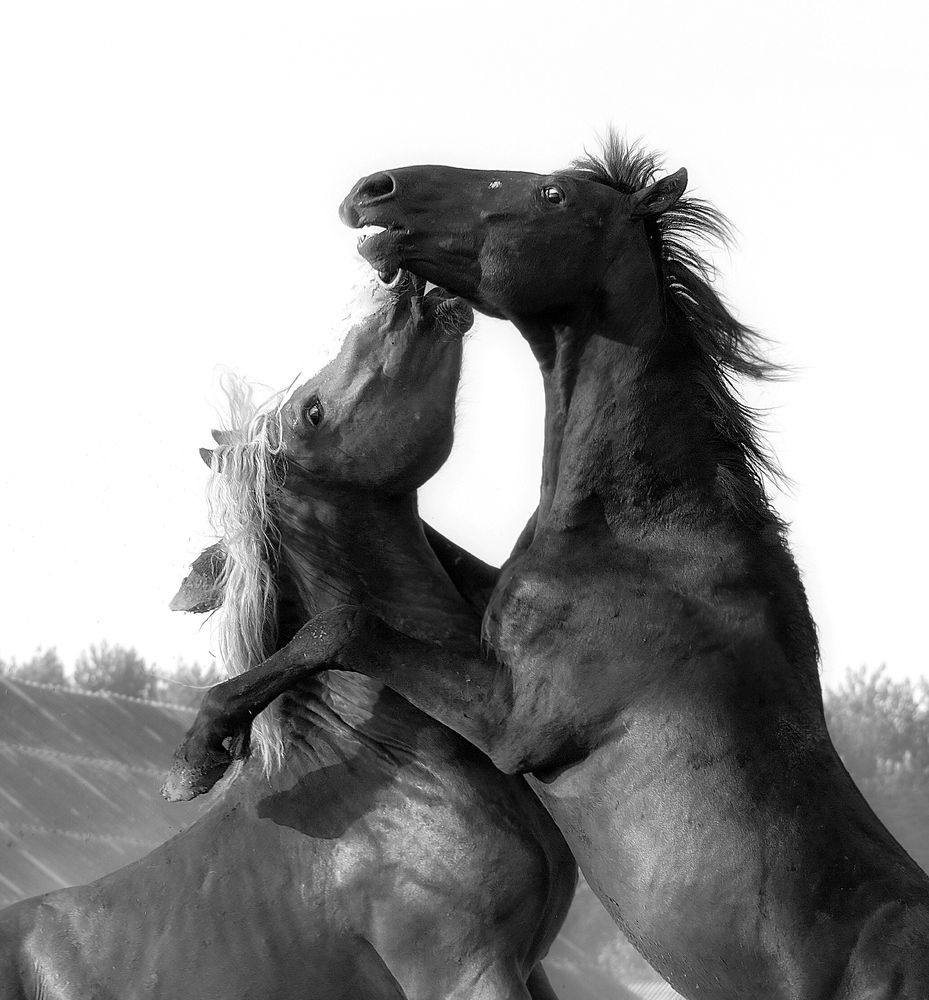 Photograph by Марина Фомина