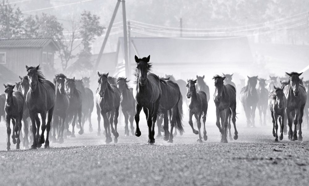 Фотография автора Марина Фомина