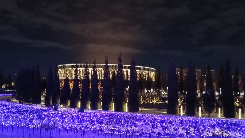 Фотография автора Лариса Беляева