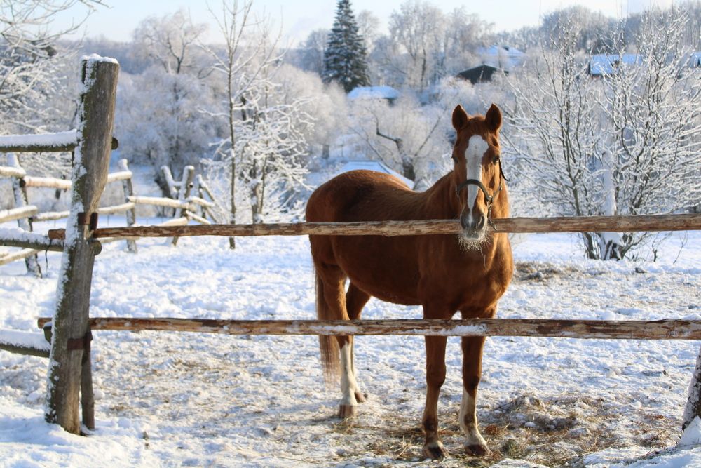 Фотография автора Иван Кириллов