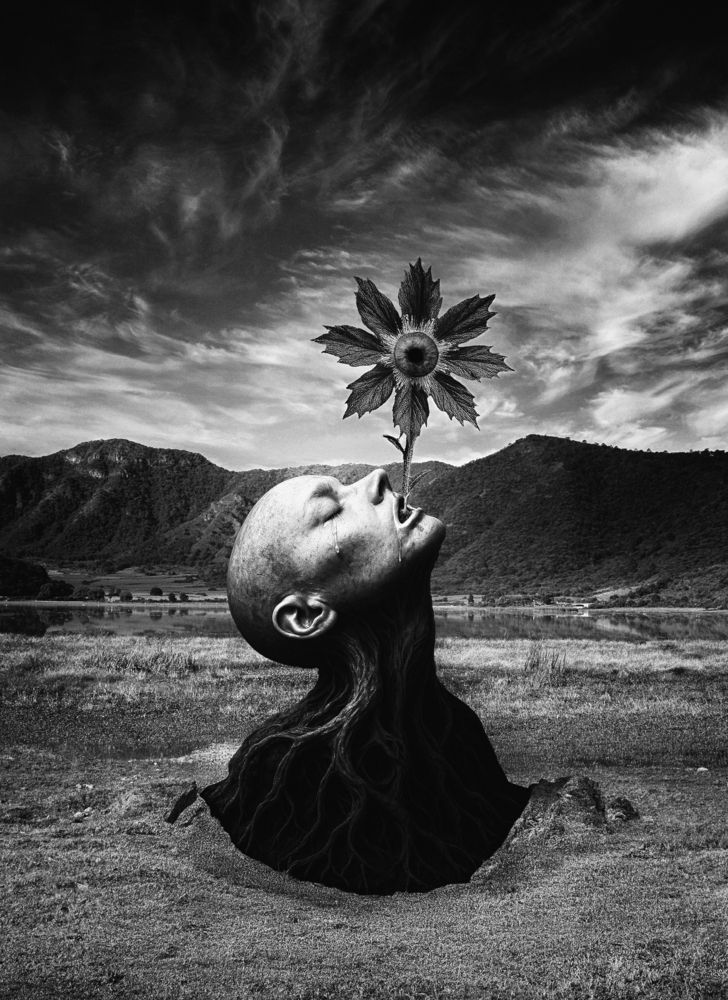 Photograph by jairo xavier elias avalos