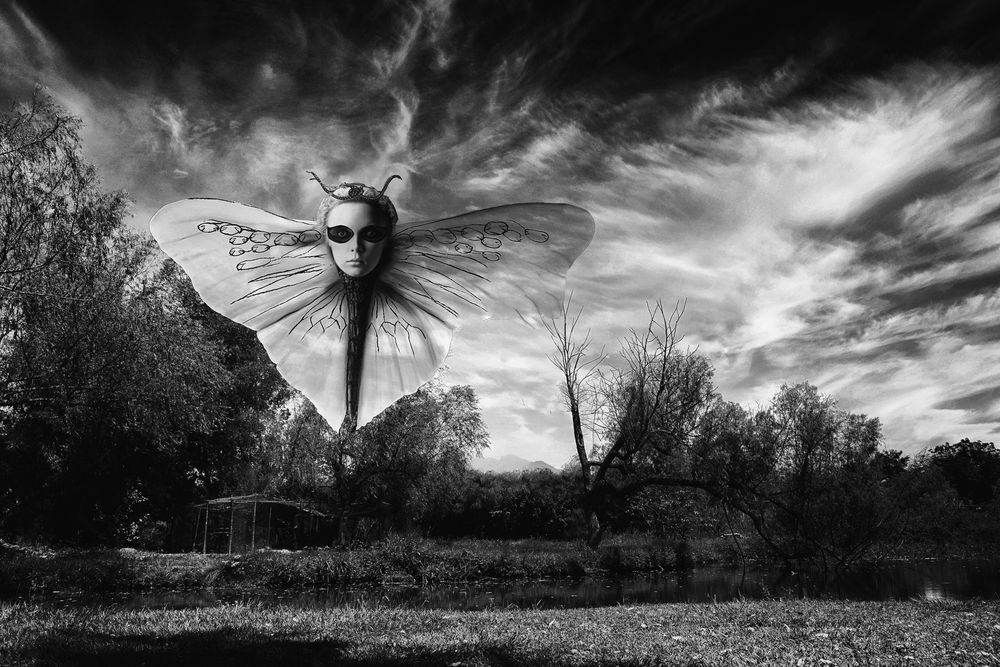 Фотография автора jairo xavier elias avalos