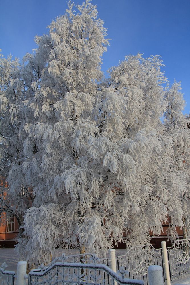 Photograph by Владимир Кулешов