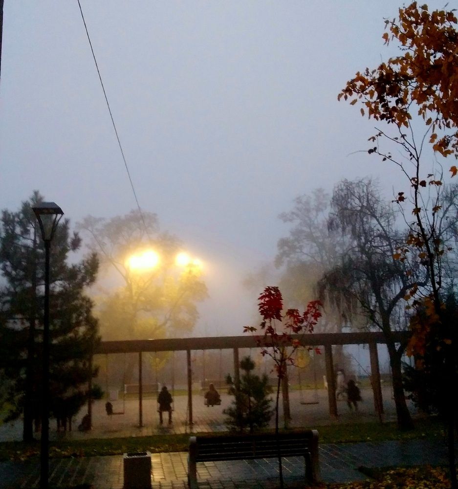 Photograph by Васильева Львовна