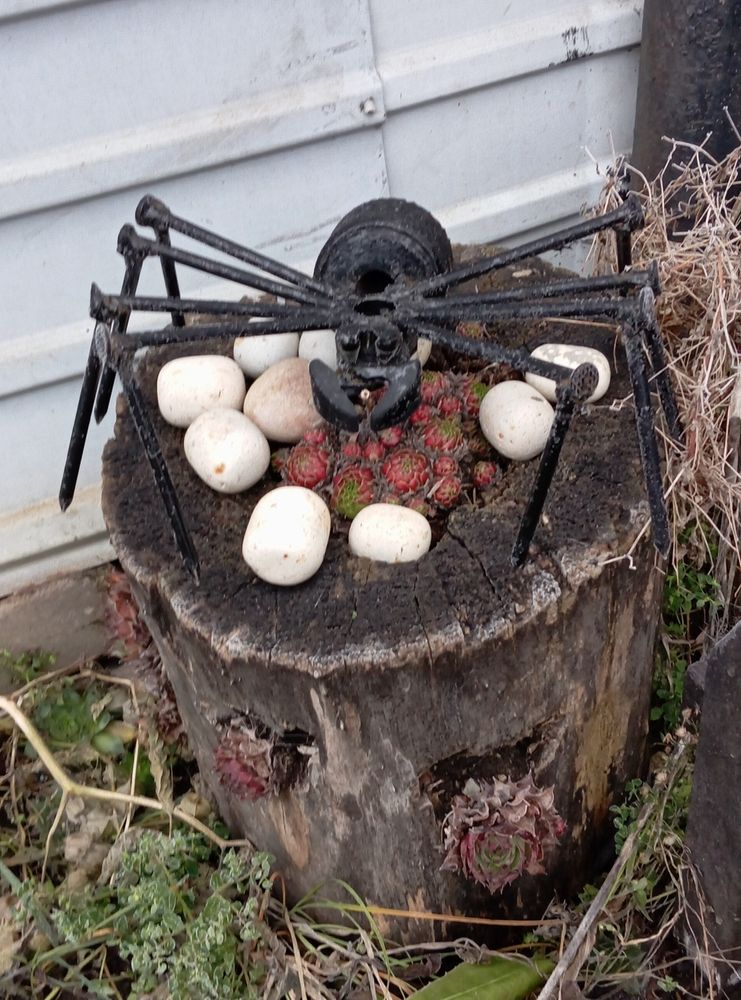 Photograph by Елена Коробченко