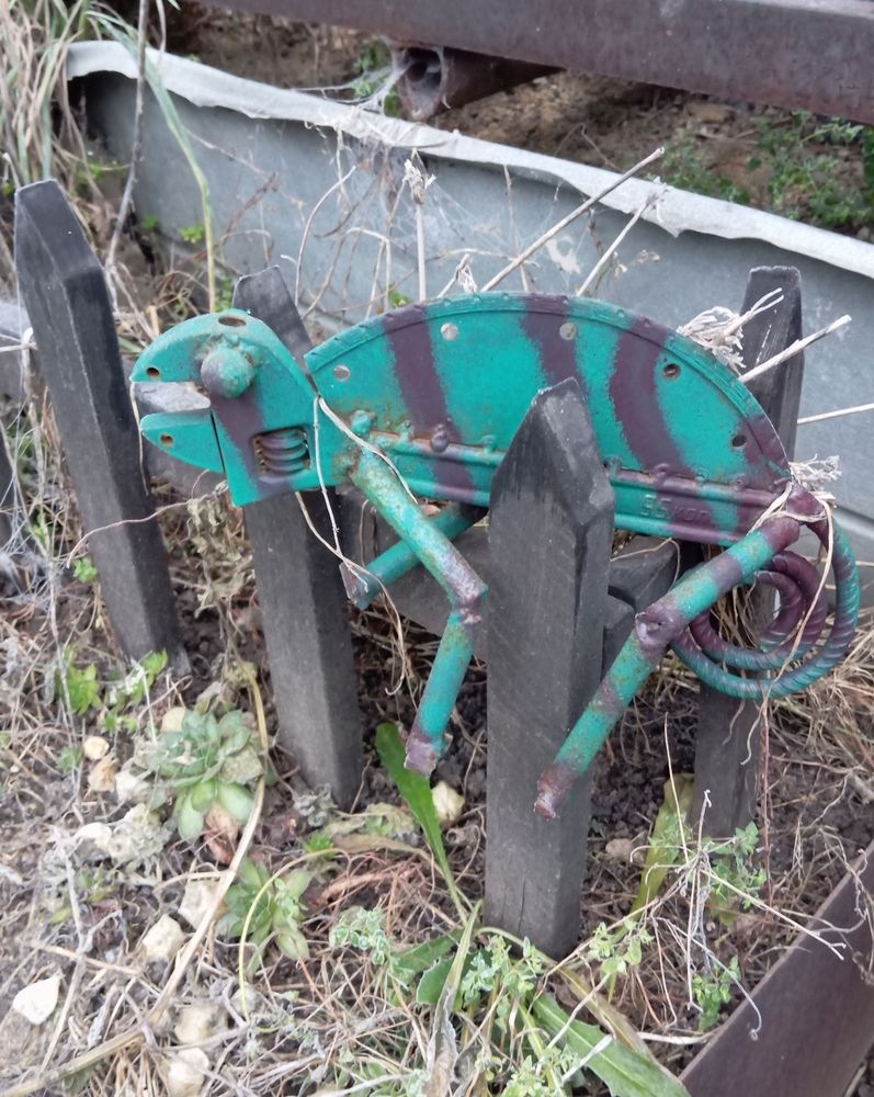 Photograph by Елена Коробченко