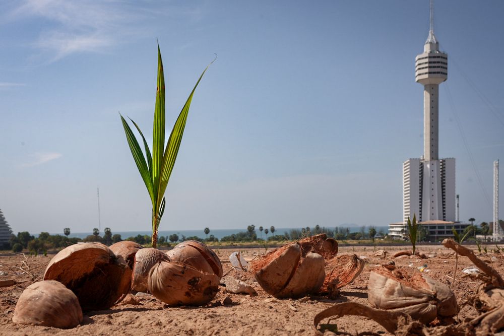 Photograph by Людмила Аксенова