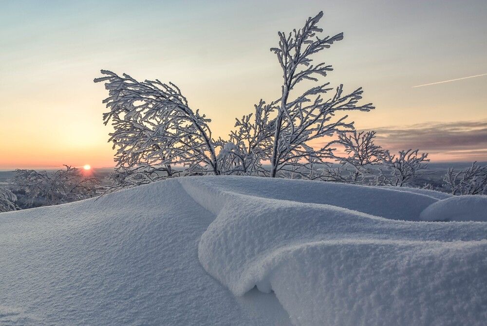 Утро Арктики