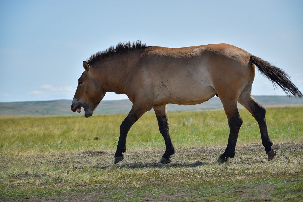 Photograph by Ирина Курьянович